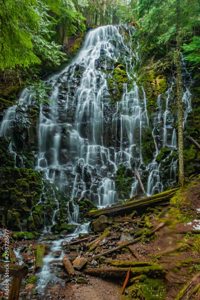 Fototapeta premium Ramona Falls, in Zig Zag RD of the Mt. Hood NF.