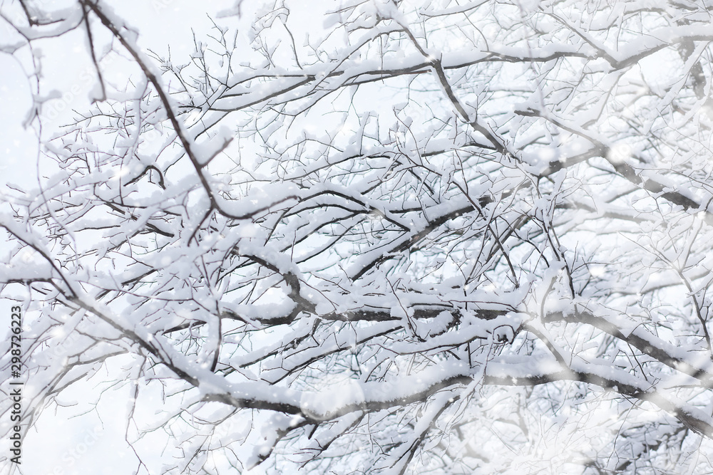 Winter landscape. Forest under the snow. Winter in the park. Winter landscape. Forest under the snow. Winter in the park.