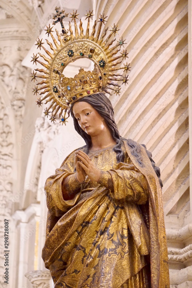 Fototapeta premium statue of the Virgin Mary