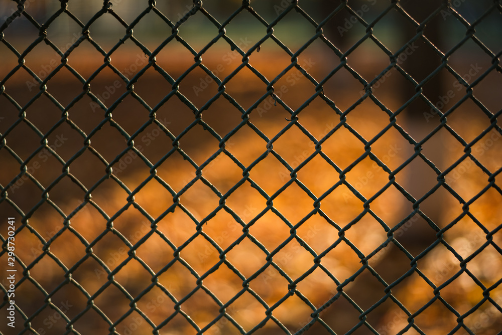 Blurred autumn landscape through a metal mesh. Abstract background Blurred autumn landscape through a metal mesh. Abstract background