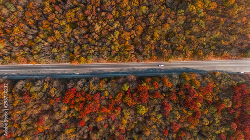 Aerial view of the road in beautiful autumn forest