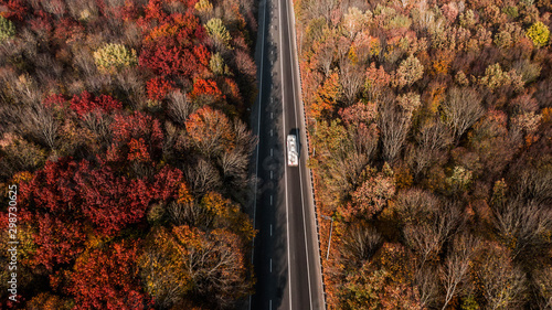 Aerial view of the road in beautiful autumn forest