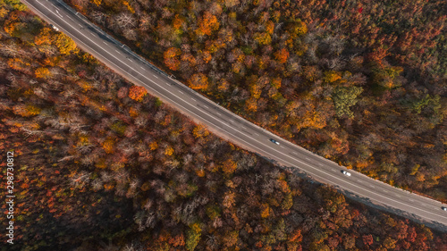 Aerial view of the road in beautiful autumn forest