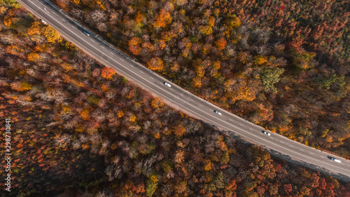 Aerial view of the road in beautiful autumn forest