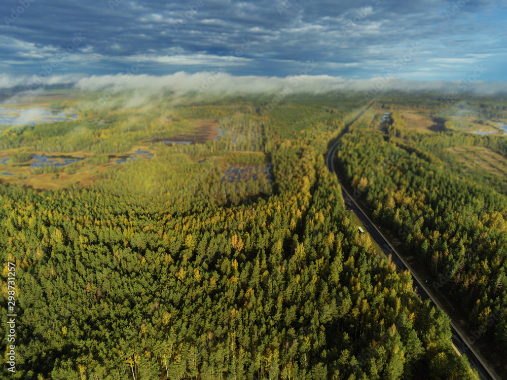 Aerial view, Green forest, Blue cloudy sky, Latvia.  Warm autumn day.