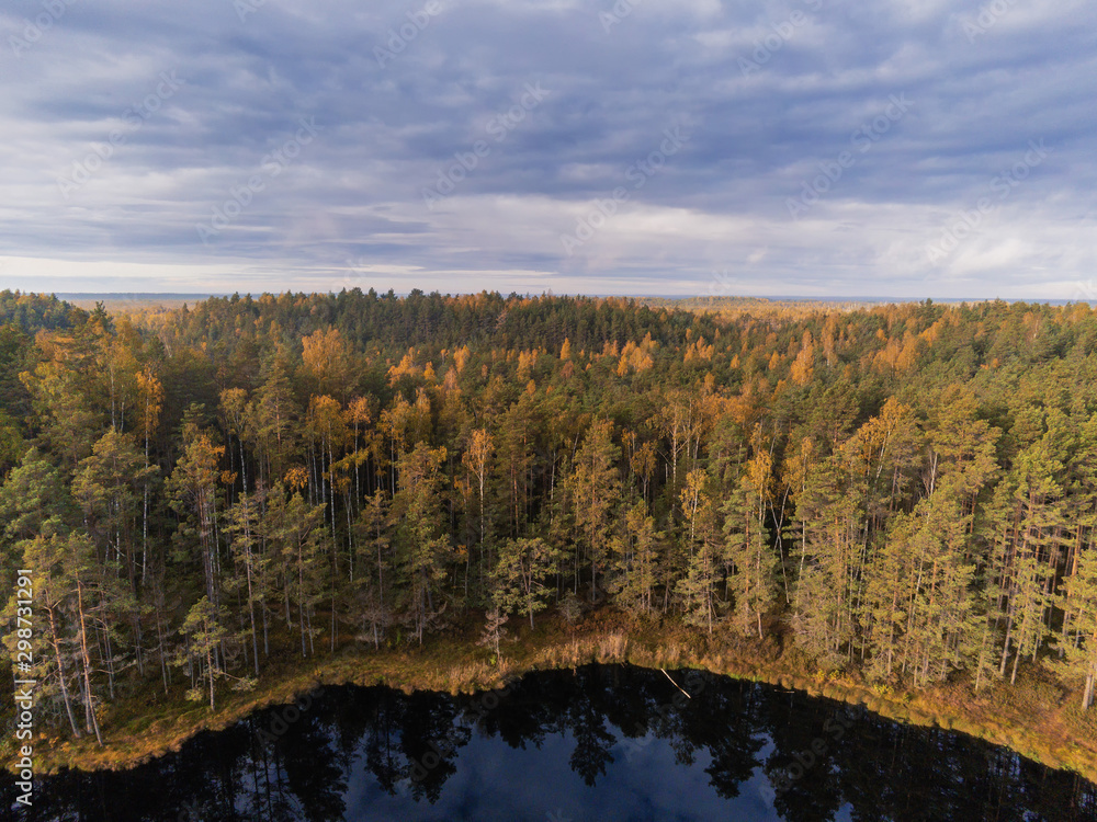 Aerial view, Autumn forest by a lake, Clouds reflection in the water, Fall season color.