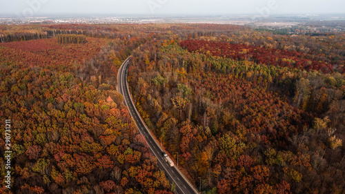 Aerial view of the road in beautiful autumn forest