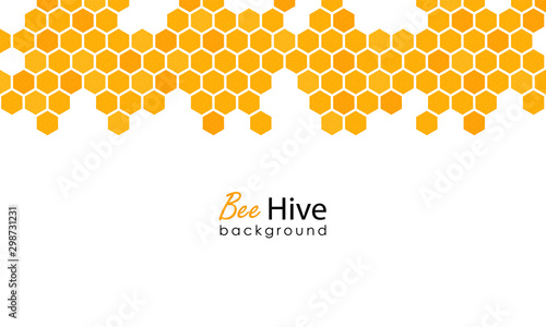 Honeycomb background. Hexagon beehive design isolated. Vector illustration