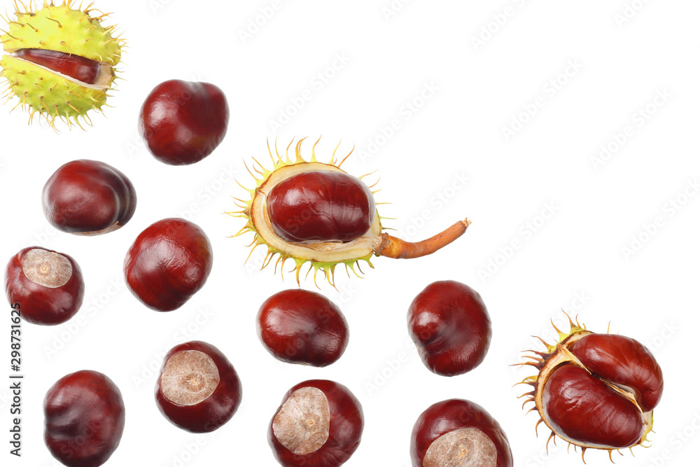 chestnuts isolated on white background. top view chestnuts isolated on white background. top view