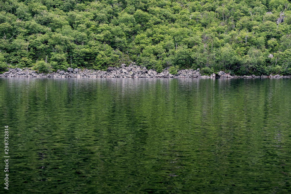 Moutain forest and water