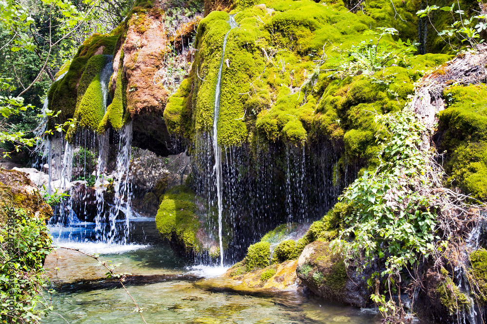 Fototapeta premium Small waterfalls and mossy rocks, part of the forest called 'Capelli di Capelvenere waterfalls', Casaletto Spartano, Salerno Italy.