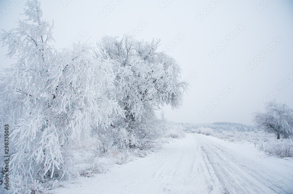 Fototapeta premium Dirt road in the forest in winter