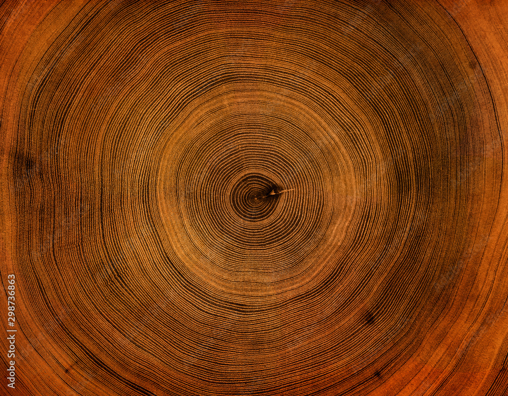 Old wooden tree cut surface. Detailed warm dark brown and orange tones of a felled tree trunk or stump. Rough organic texture of tree rings with close up of end grain. Old wooden tree cut surface. Detailed warm dark brown and orange tones of a felled tree trunk or stump. Rough organic texture of tree rings with close up of end grain.