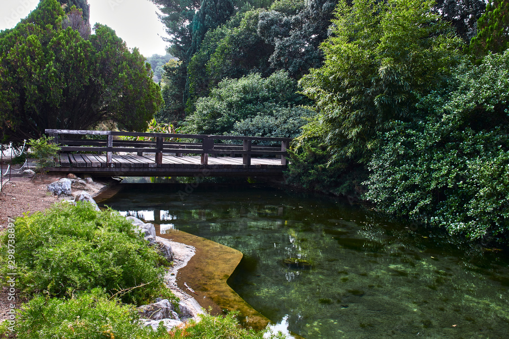 Bridge over a pond among vegetation