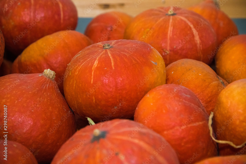 Fresh orange pumpkins as a background Fresh orange pumpkins as a background