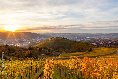 Autumn sunset view of Stuttgart sykline overlooking the colorful vineyards. The iconic Fernsehturm as well as the soccer stadium are visible. The sun is about ot set over the Neckar Valley.