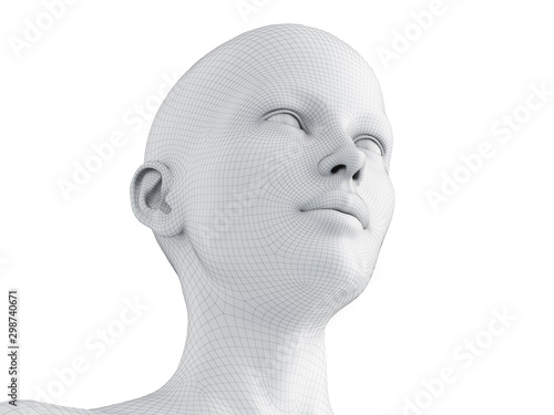 3d rendered medically accurate illustration of a female wireframe head