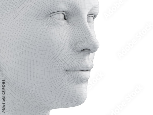 3d rendered medically accurate illustration of a female wireframe face