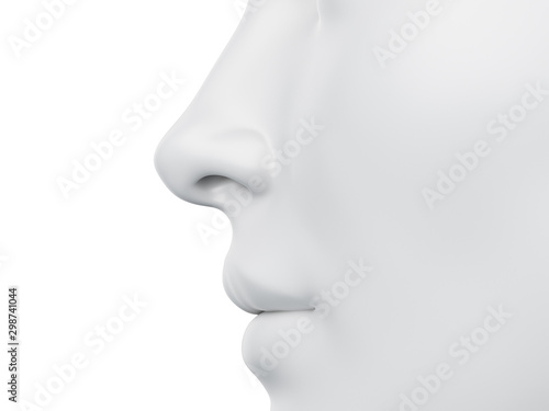 3d rendered medically accurate illustration of a grey abstract female nose