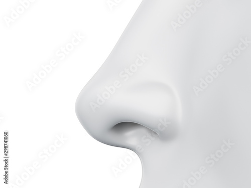3d rendered medically accurate illustration of a grey abstract female nose photo