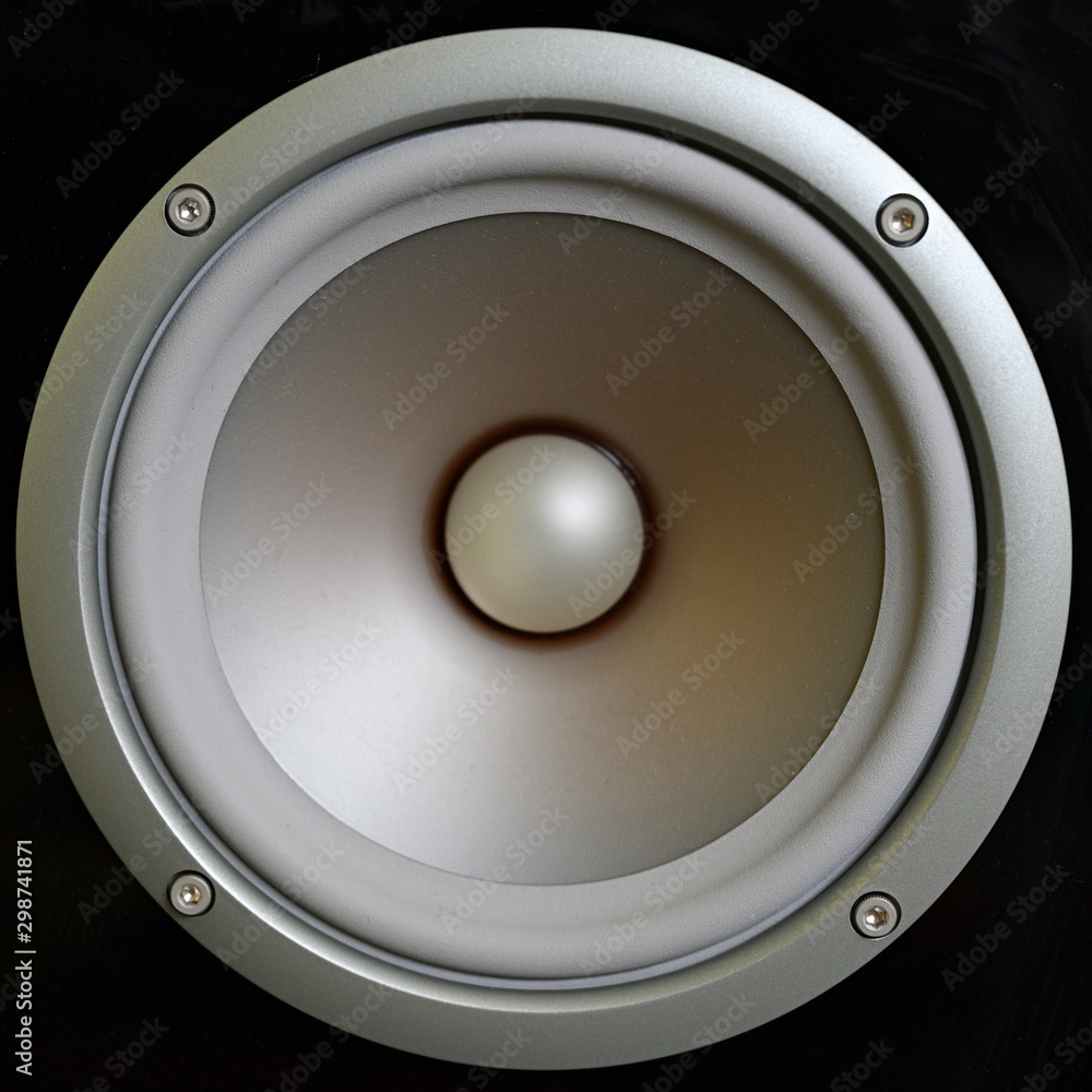 Bass silver speaker in loudspeaker. Bass silver speaker in loudspeaker.