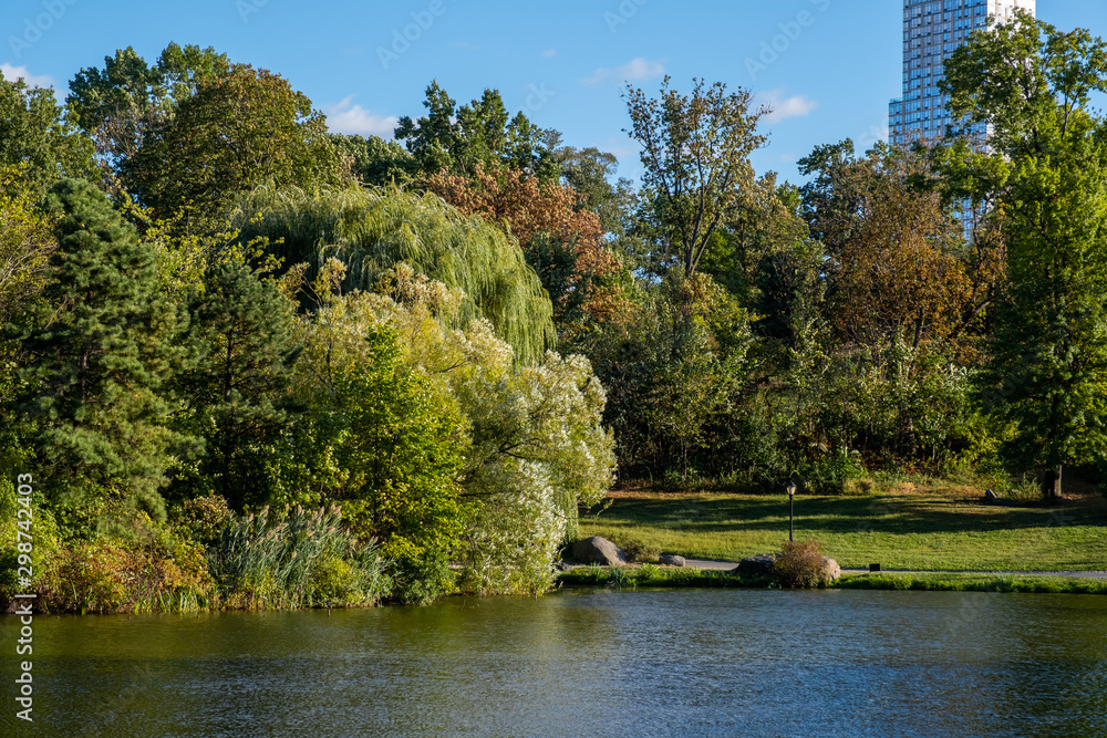 Early autumn color in Central Park North