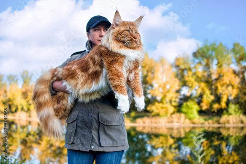 A girl holding in arms a huge maine coon cat in forest in summer, fall. photo