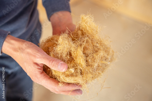 Hand of a worker holding hemp wool, an ecological insulation material which is environmentally friendly and completely recyclable