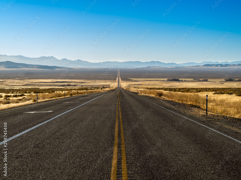 Fototapeta premium Straight road through the Nevada desert with a diminishing perspective landscape photograph