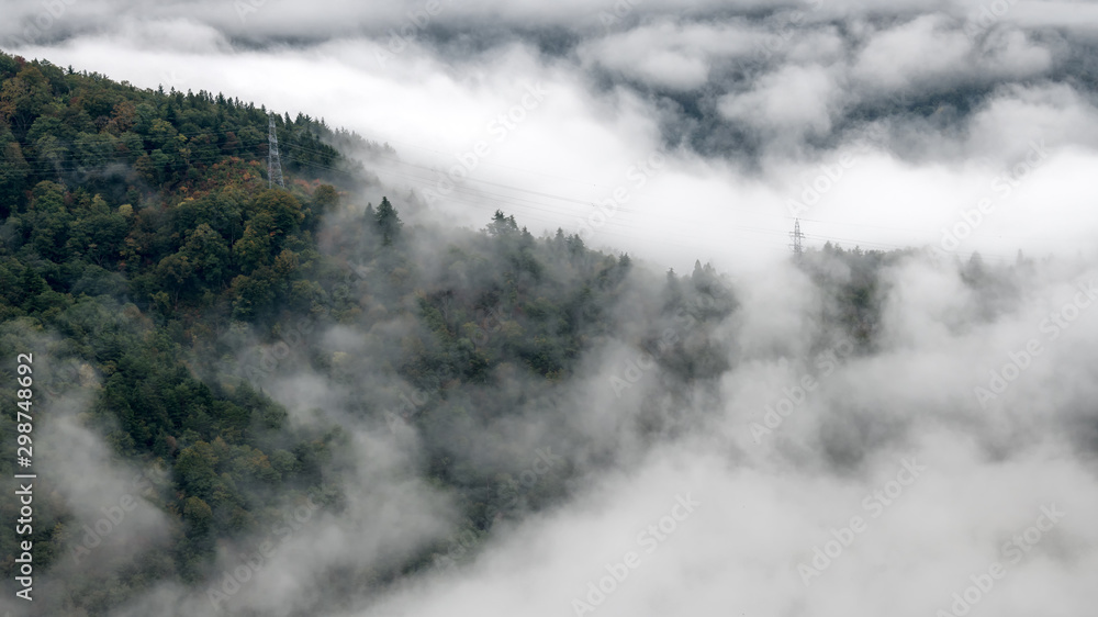 Low cloud on the mountain forest in the morning