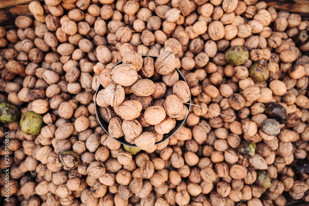 A basket full of fresh raw walnuts fruits A basket full of fresh raw walnuts fruits