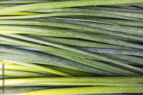background. green onions in the market   store