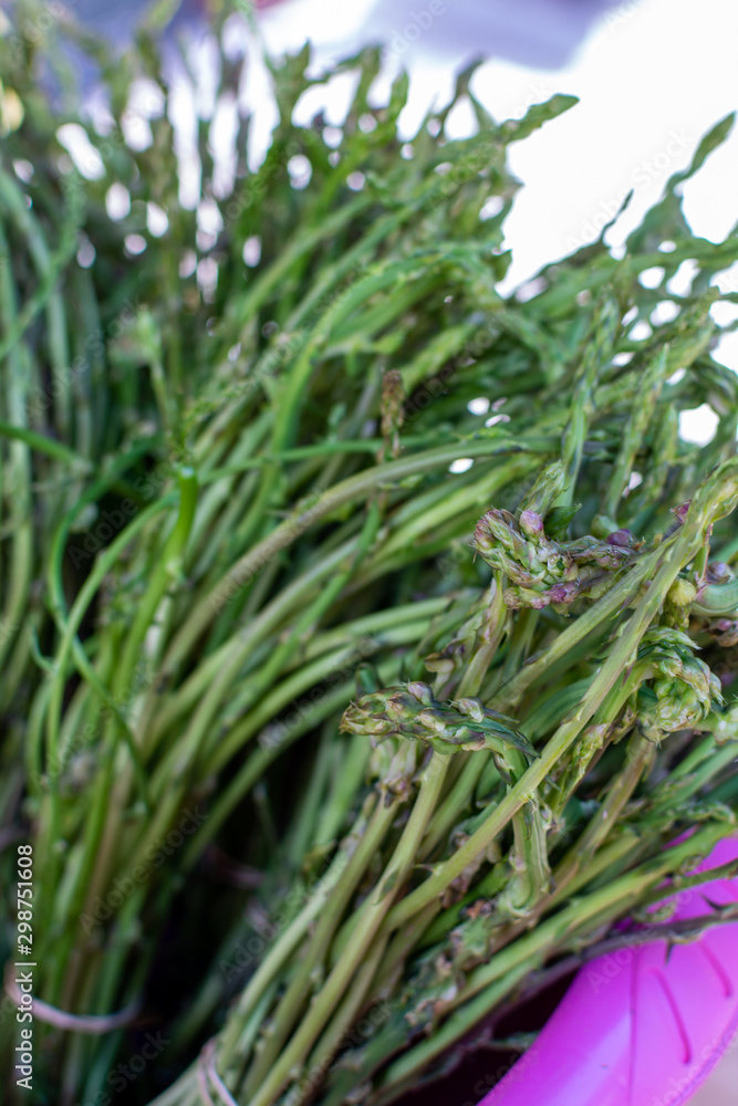 Natural food from forest and mountains in Greece green wild asparagus on farmer market