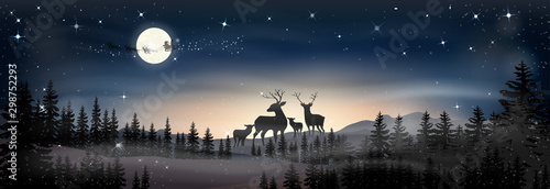 Landscapes Winter wonderland,Vector cartoon of Santa sleigh and reindeers flying over full moon, Reindeers family looking at Father Christmas sleigh Reindeers in the sky, Merry Christmas background