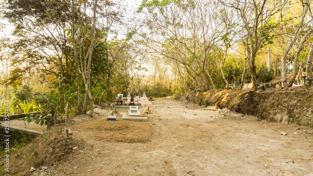 Some graves in public cemetery surrounded by tall trees