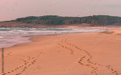 Playa solitaria y salvaje con huellas sobre la arena photo