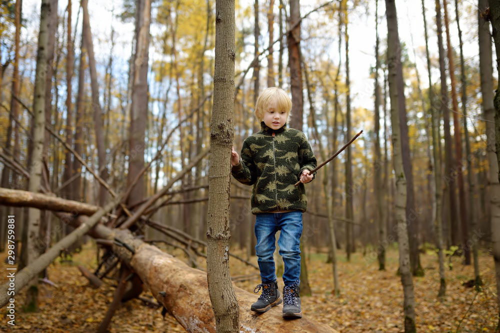 Little boy play with stick in forest on autumn day.