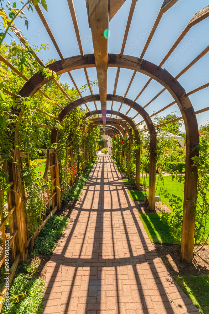 Passageway under a wooden arbor surrounded by lush green plants on a sunny day