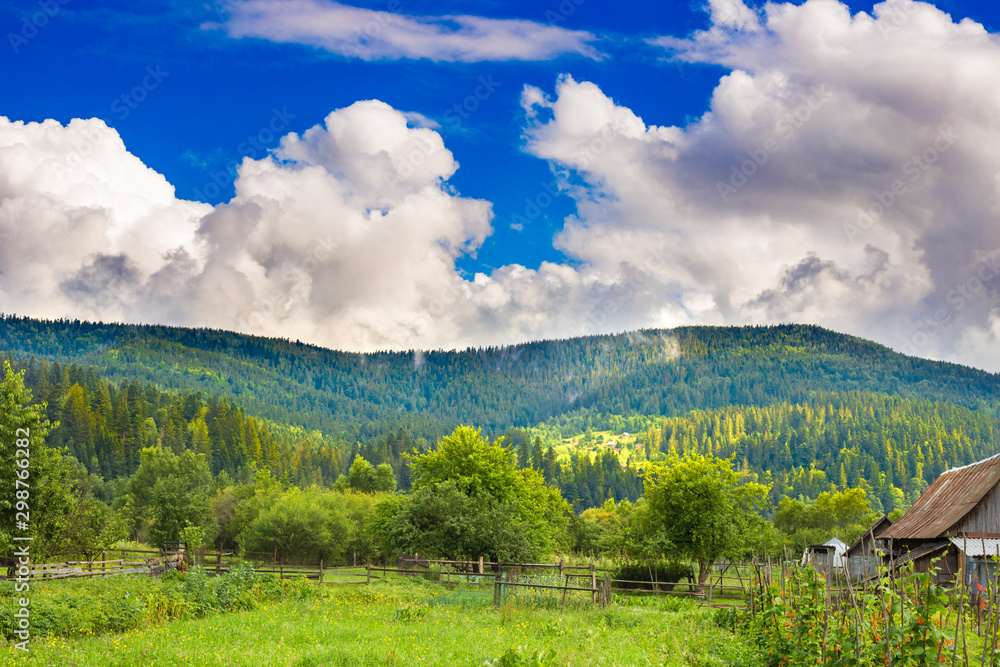 Obraz premium Panoramic View of Carpathian Mountains with Fresh Green Plants in Beautiful Sunny Day