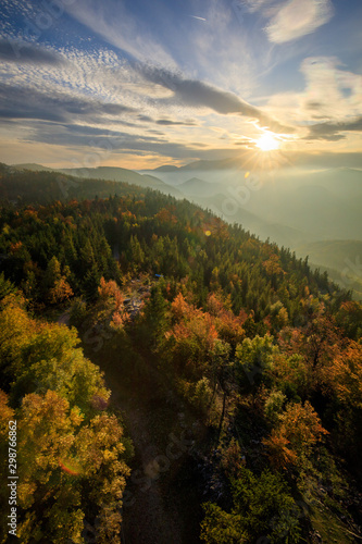 Autumn Forest landscape in the mountains of Austria © Maximilian