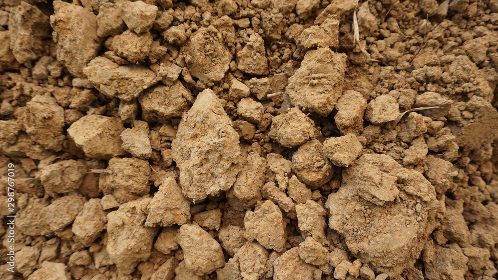 Dry lumps of soil due to the long dry season