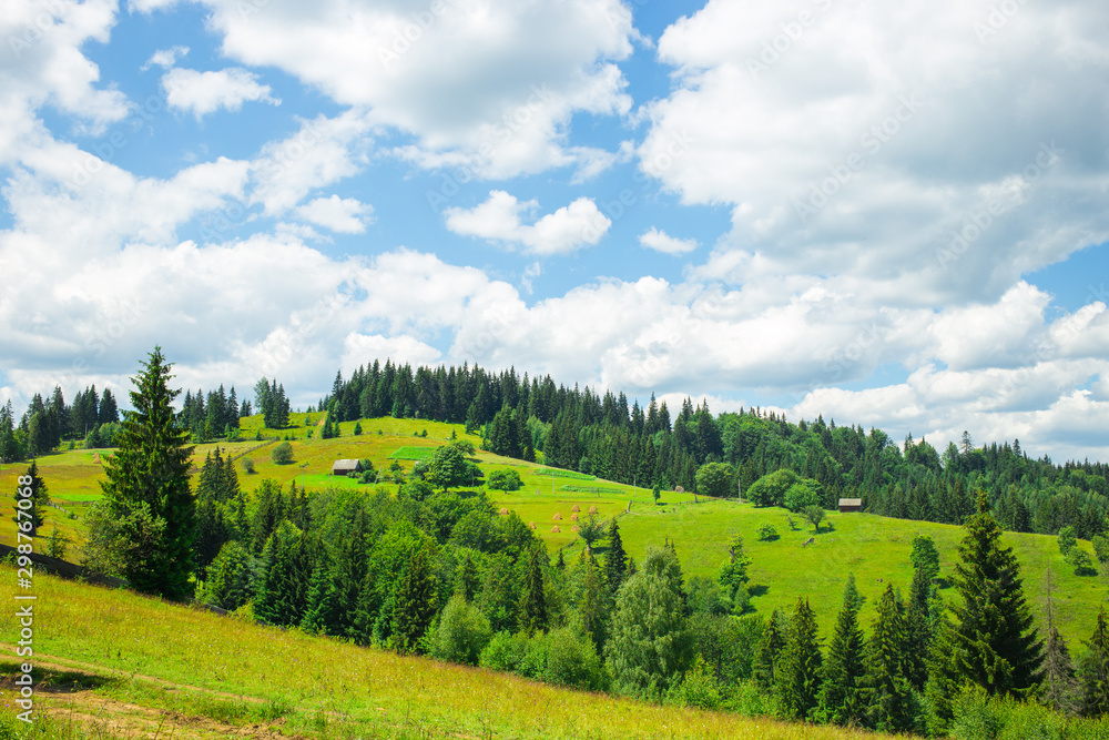 Summer Carpathian Moountains. Beautiful Landscape