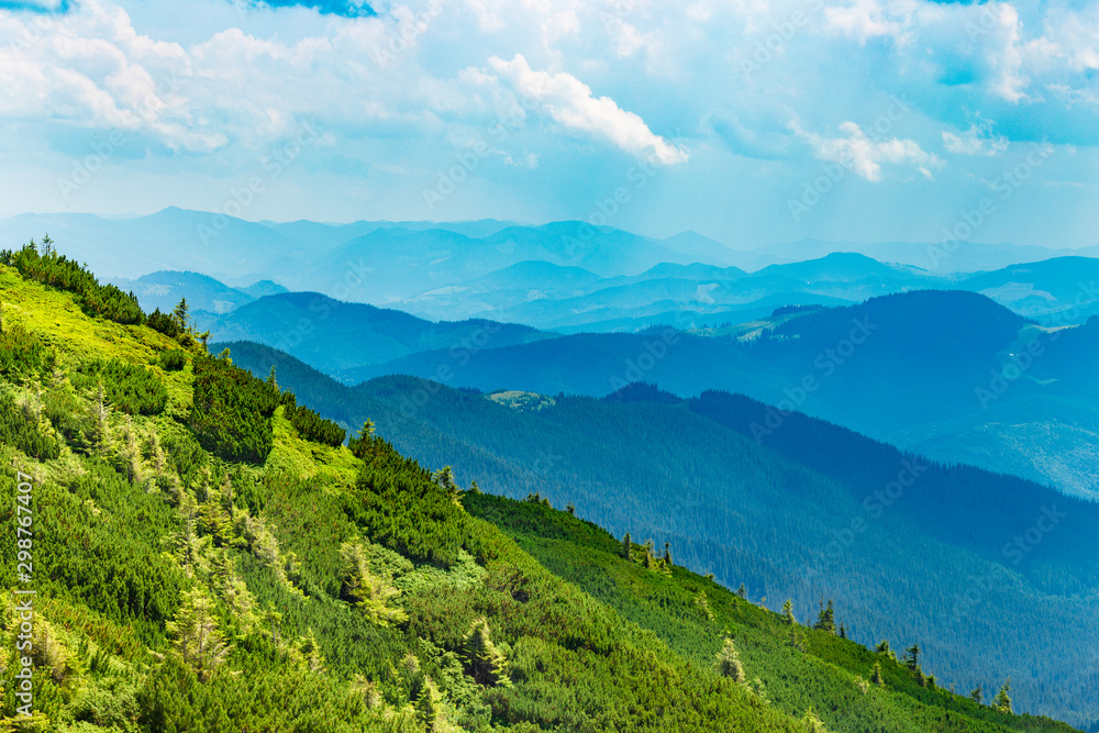 Obraz premium Summer Carpathian mountains in sunny day. Beautiful panorama nature backdrop with cloudy blue sky on background