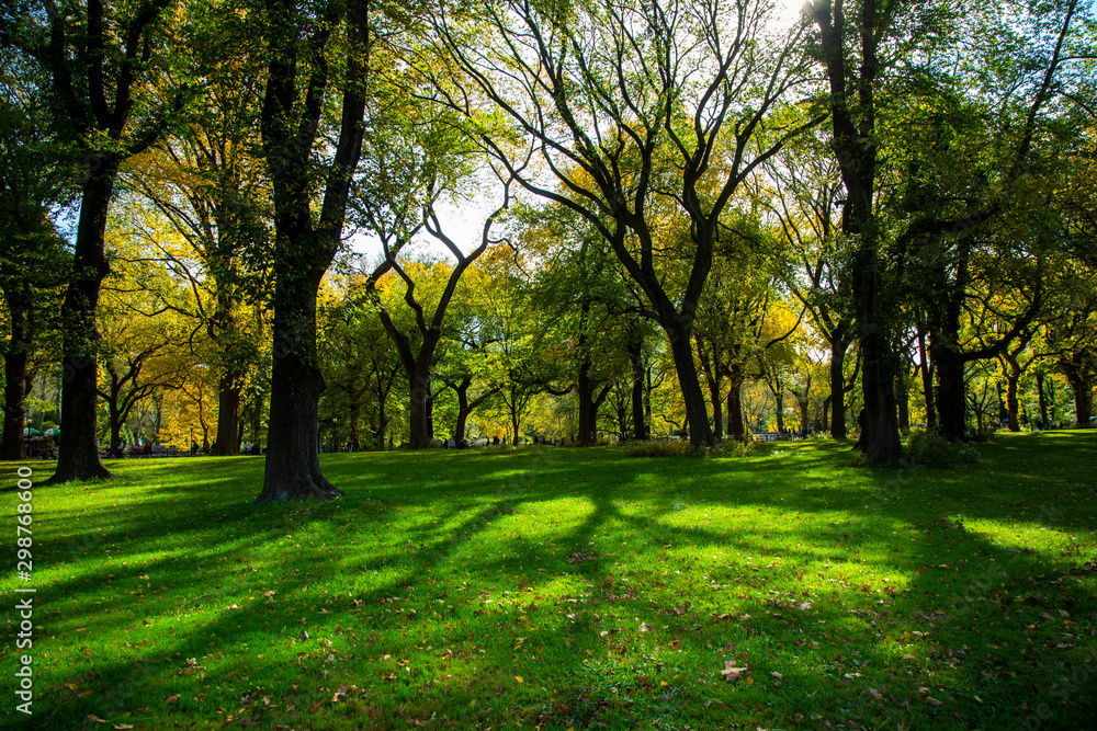 Beautiful park in Beautiful city..Beautiful Central Park in foliage season, New York City.. Beautiful park in Beautiful city..Beautiful Central Park in foliage season, New York City..