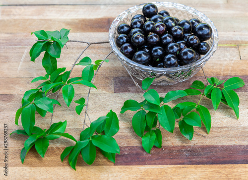 The jabuticaba or jaboticaba is the fruit of the jaboticabeira or jabuticabeira, a Brazilian fruit tree of the mirtaceae family, native to the Atlantic Forest. They are native to South America. Berrie photo