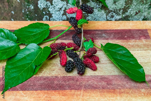 Brazilian amora fruit photo