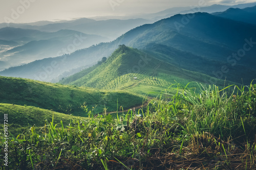 Mountain landscape of Doi Suan Ya Luang, Nan province , Thailand.