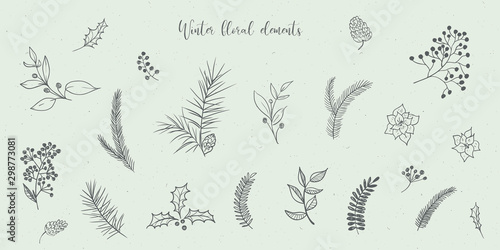 Vector Christmas illustration collection of floral fir tree branches on grey craft background. Winter design. Merry Christmas and Happy New Year!