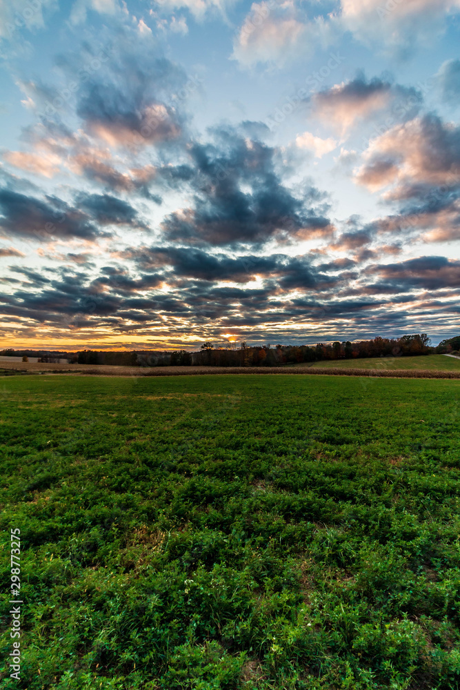 sunset over green field