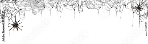 Real creepy spider webs on ...